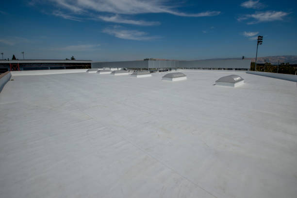 Best Roof Moss and Algae Removal  in Moundridge, KS