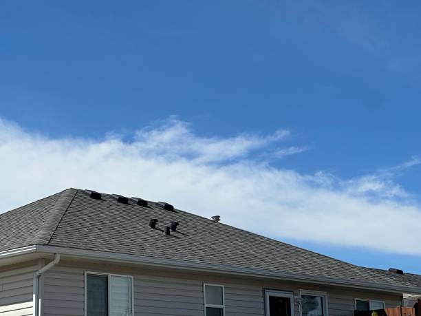 Best Roof Moss and Algae Removal  in Moundridge, KS